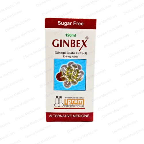 Ginbex (Sugar Free) 120Ml Syrup